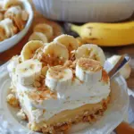 The Very Best Banana Pudding EVER